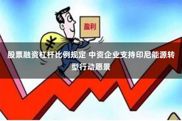 股票融资杠杆比例规定 中资企业支持印尼能源转型行动愿景