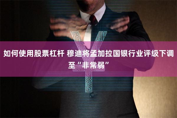如何使用股票杠杆 穆迪将孟加拉国银行业评级下调至“非常弱”