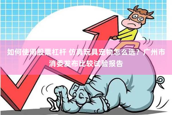 如何使用股票杠杆 仿真玩具宠物怎么选？广州市消委发布比较试验报告