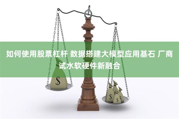如何使用股票杠杆 数据搭建大模型应用基石 厂商试水软硬件新融合