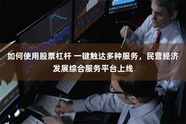 如何使用股票杠杆 一键触达多种服务，民营经济发展综合服务平台上线